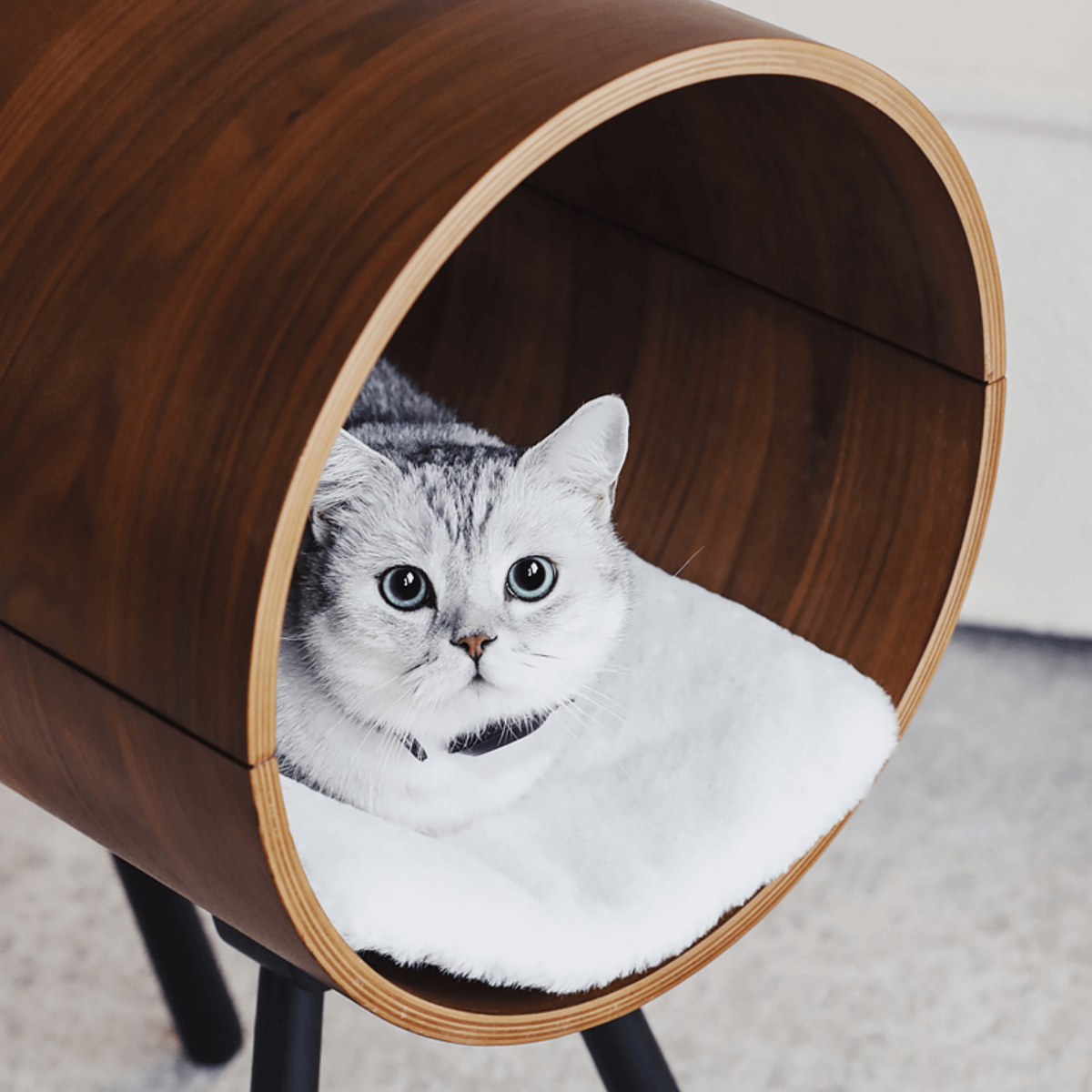 Nordic Black Walnut Bentwood Pet Bed