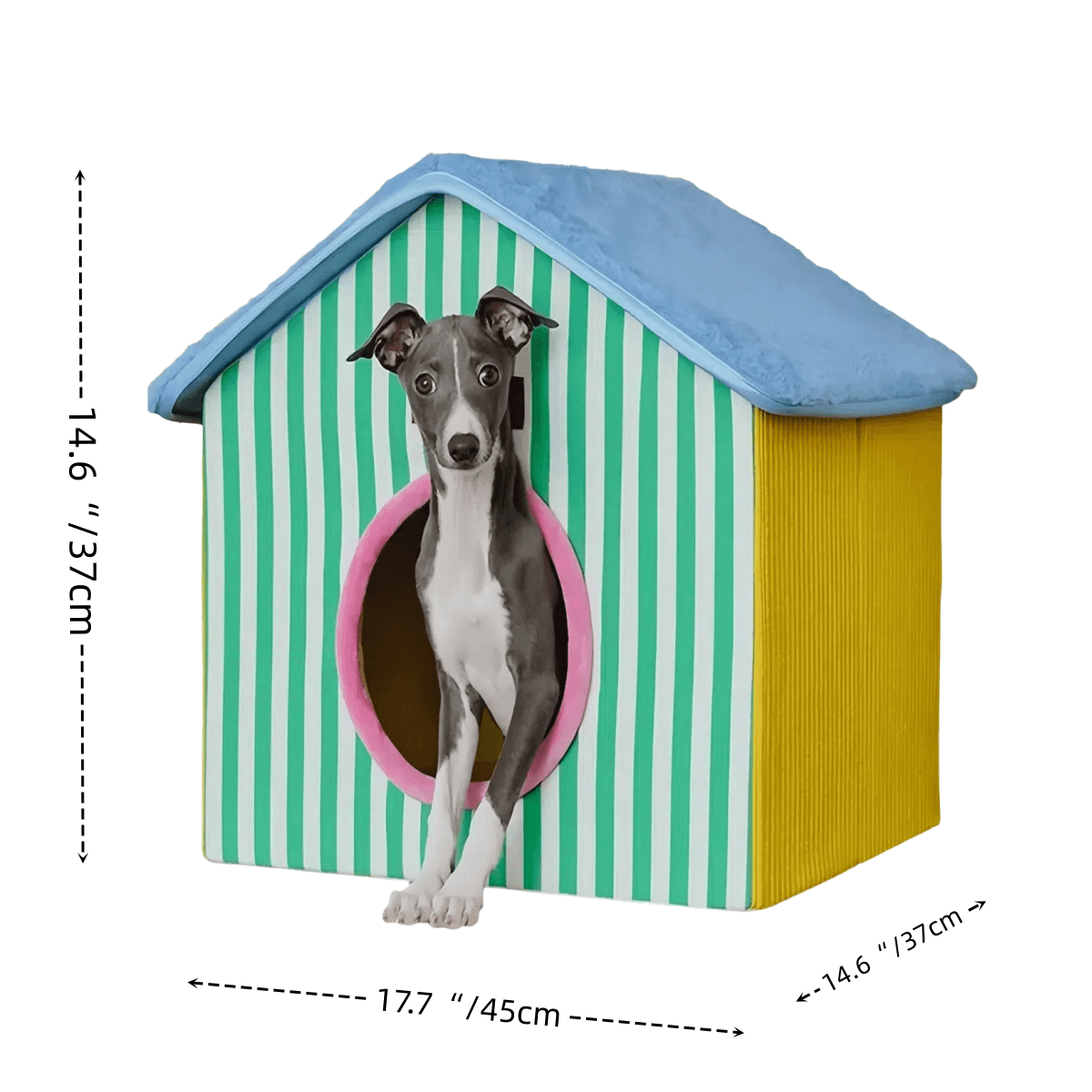 ColorPop Foldable Pet Den