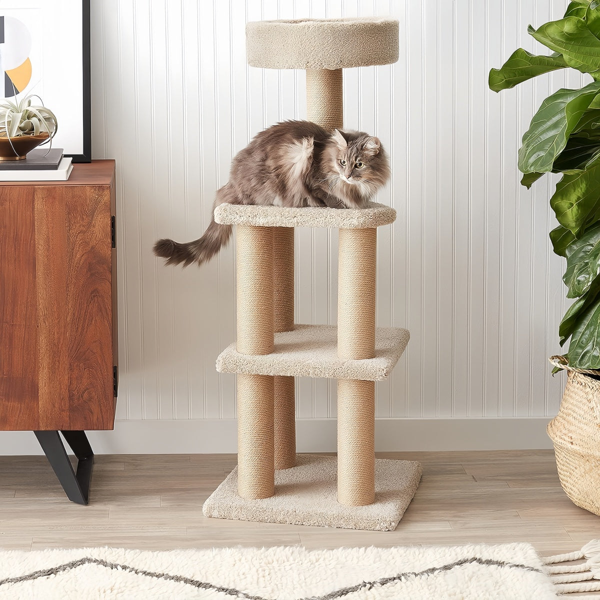 Multi-Level Indoor Cat Tree