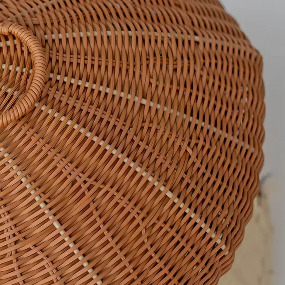 Whimsy Mushroom Hideaway