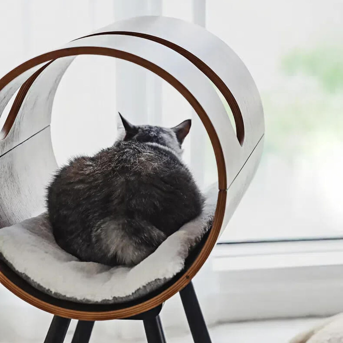 Nordic Black Walnut Bentwood Pet Bed