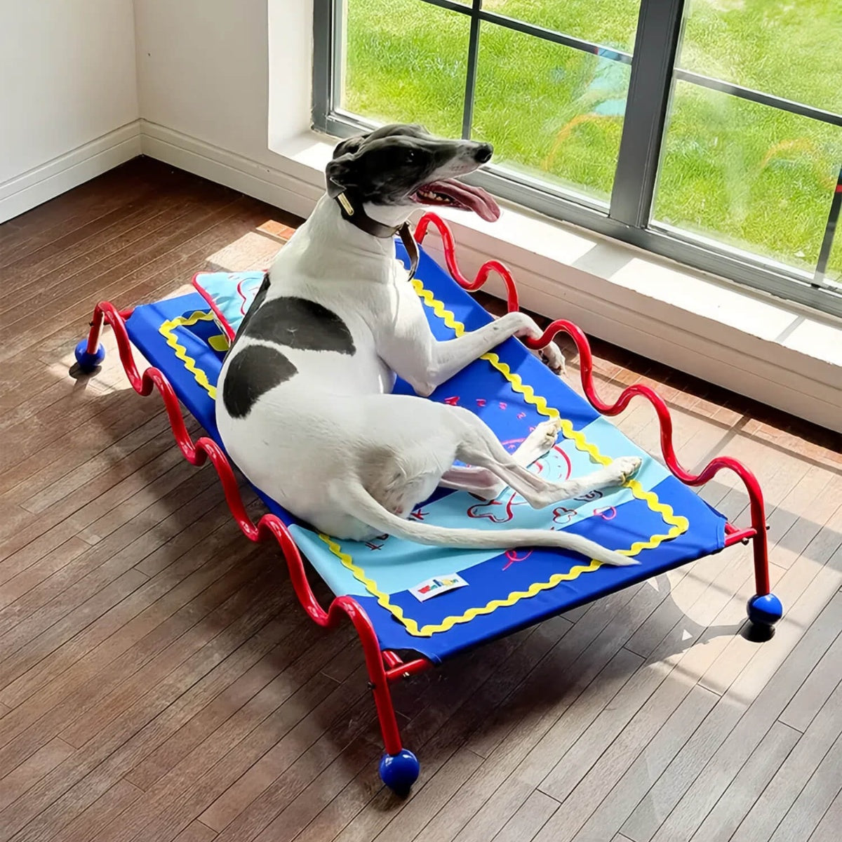 Elevated Pet Cot
