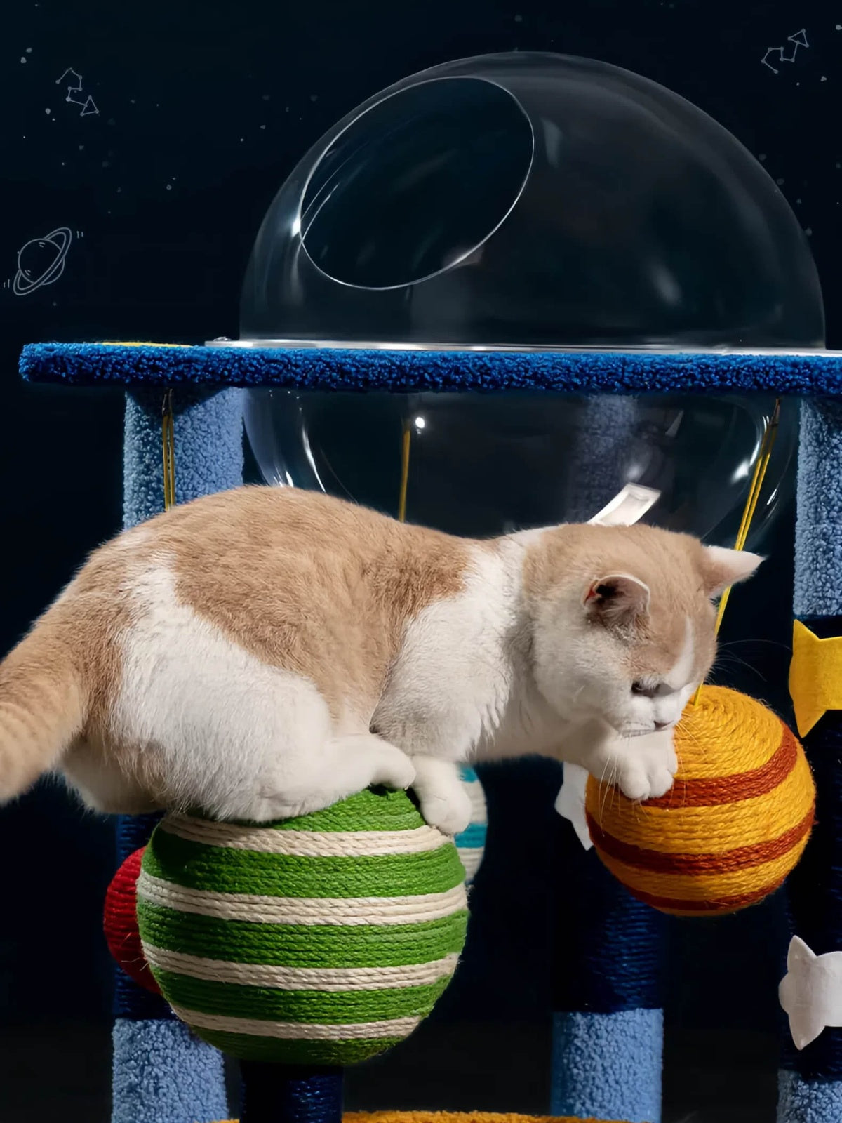Deluxe Space Capsule Cat Climber