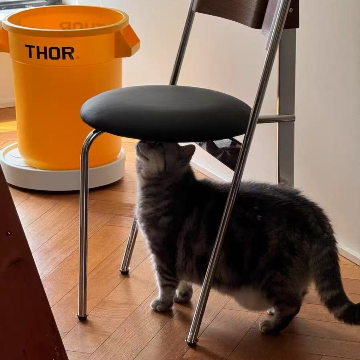 Sleek Retro Modern Dining Chair