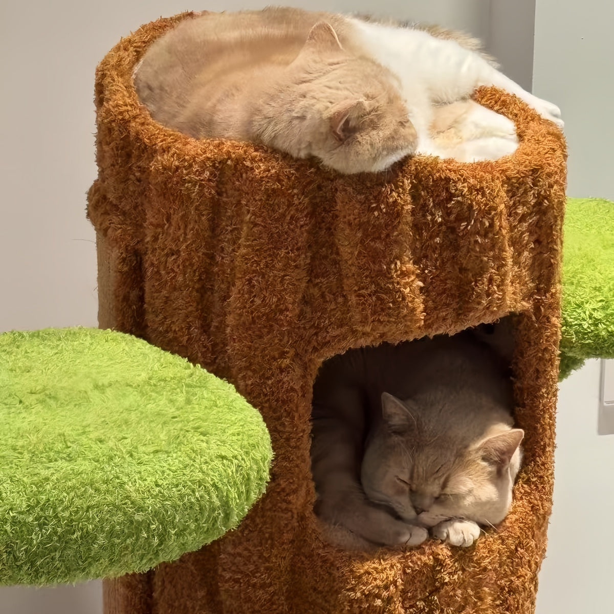 Tree Trunk Cat Tower