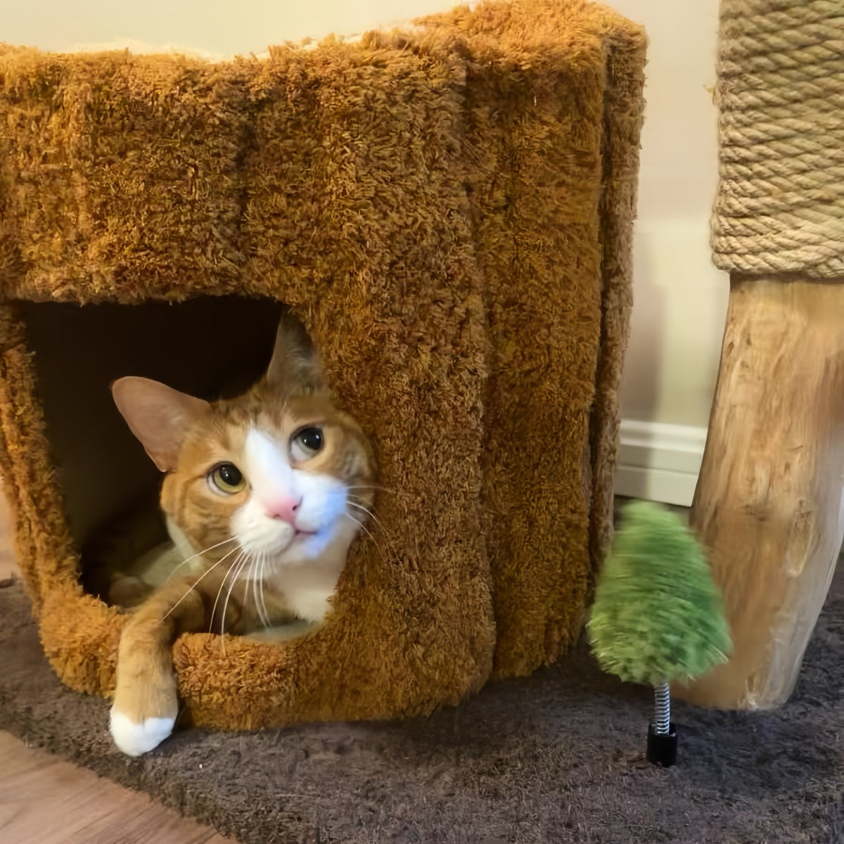 Tree Trunk Cat Tower