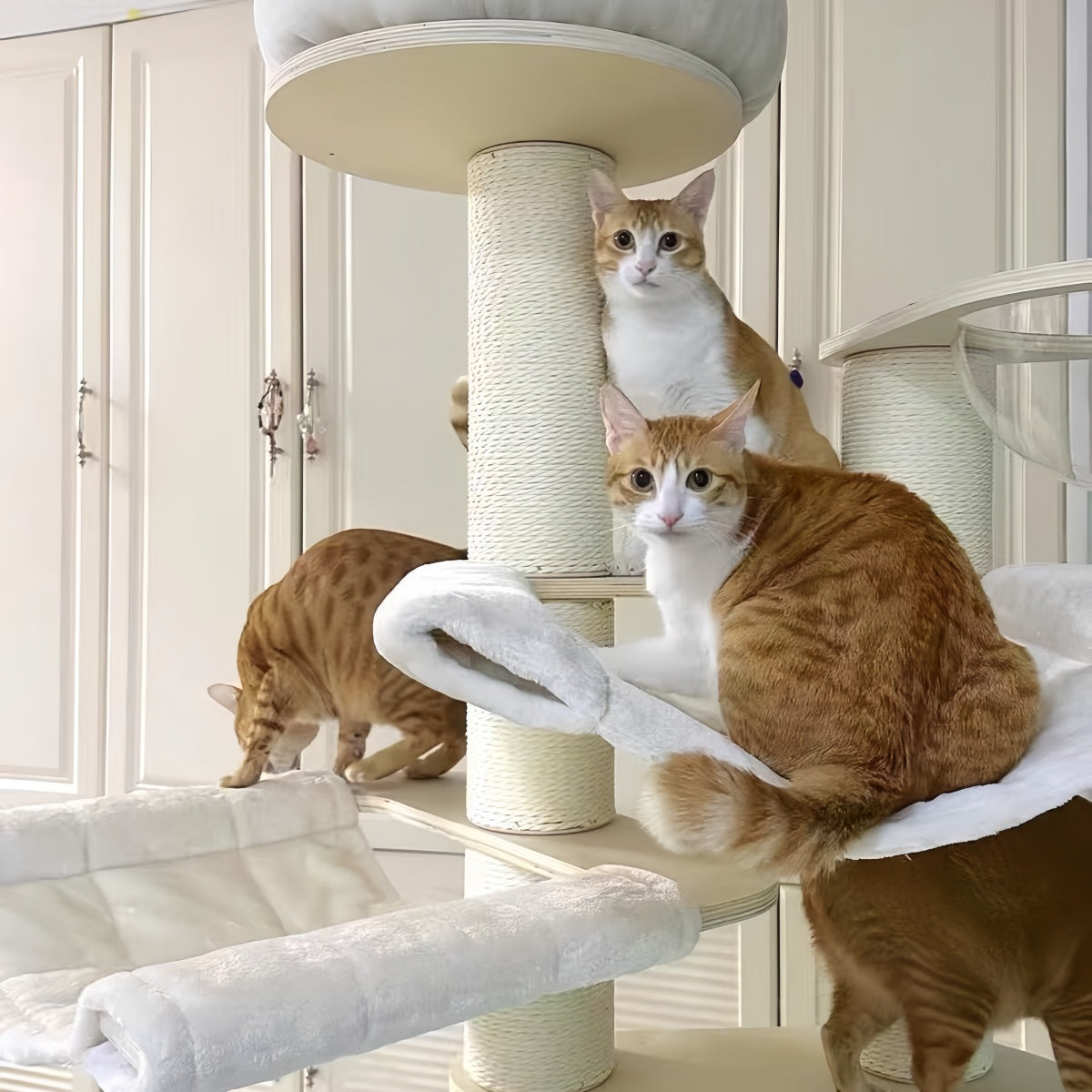 Multi-Level Wooden Cat Tree