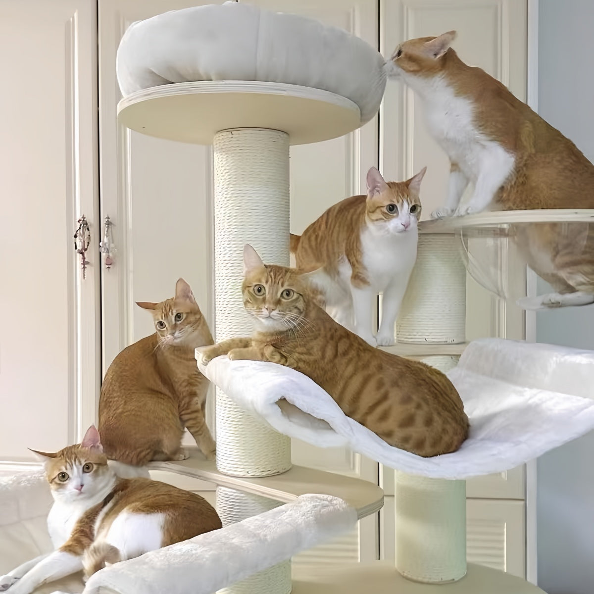 Multi-Level Wooden Cat Tree