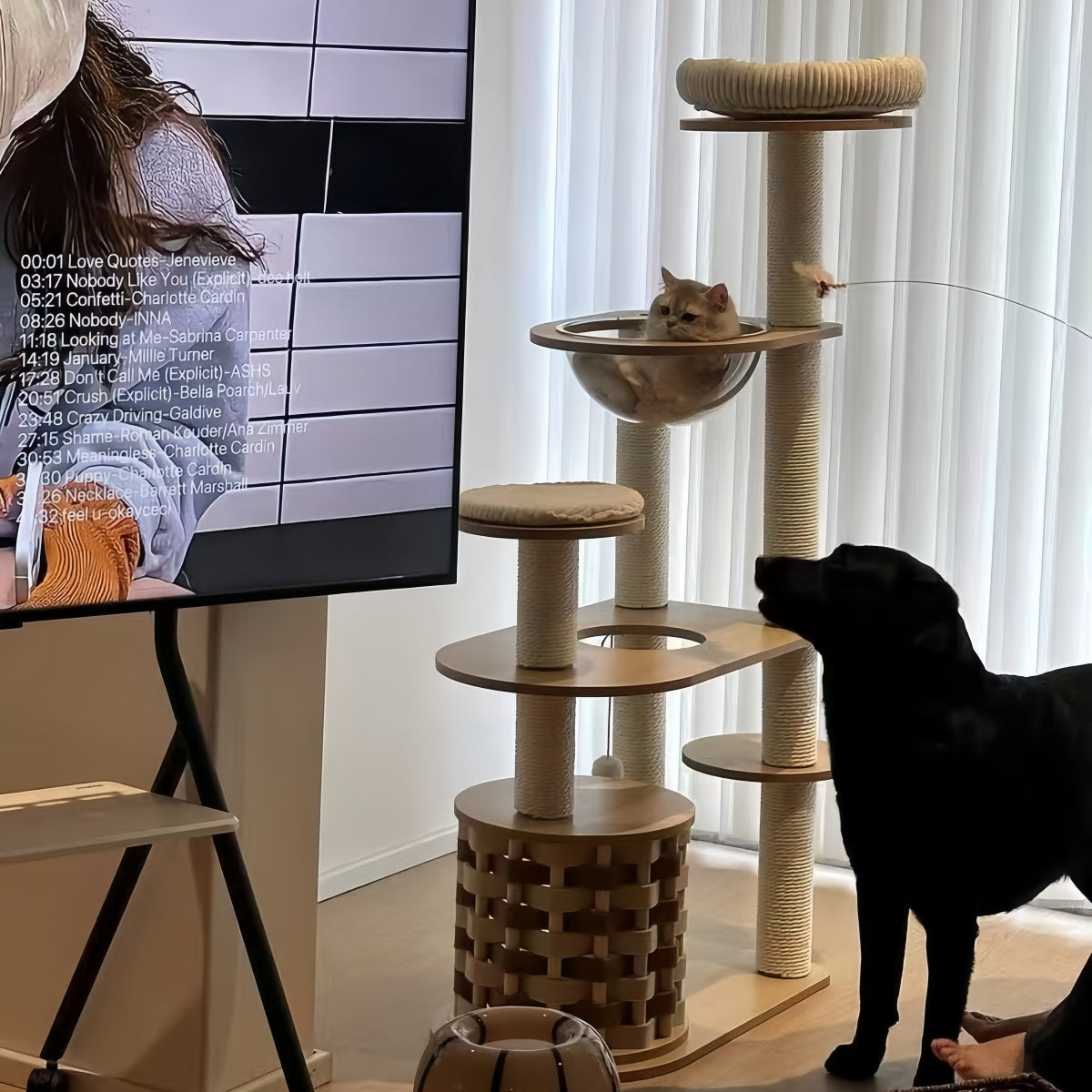 Nova All-in-One Minimalist Cat Tree