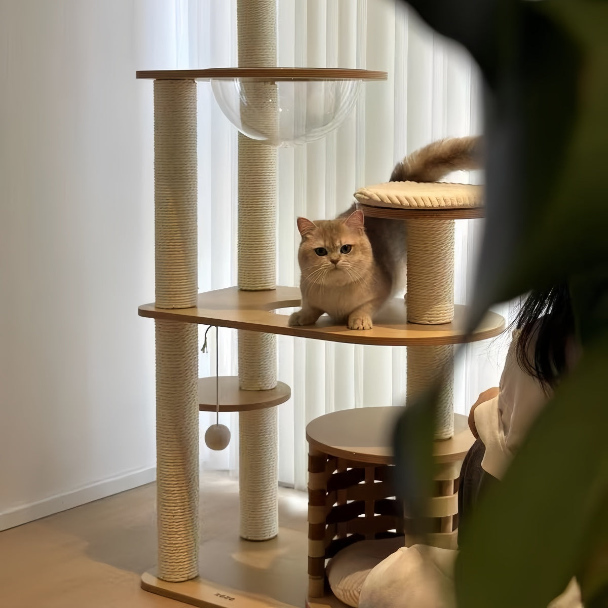 Nova All-in-One Minimalist Cat Tree