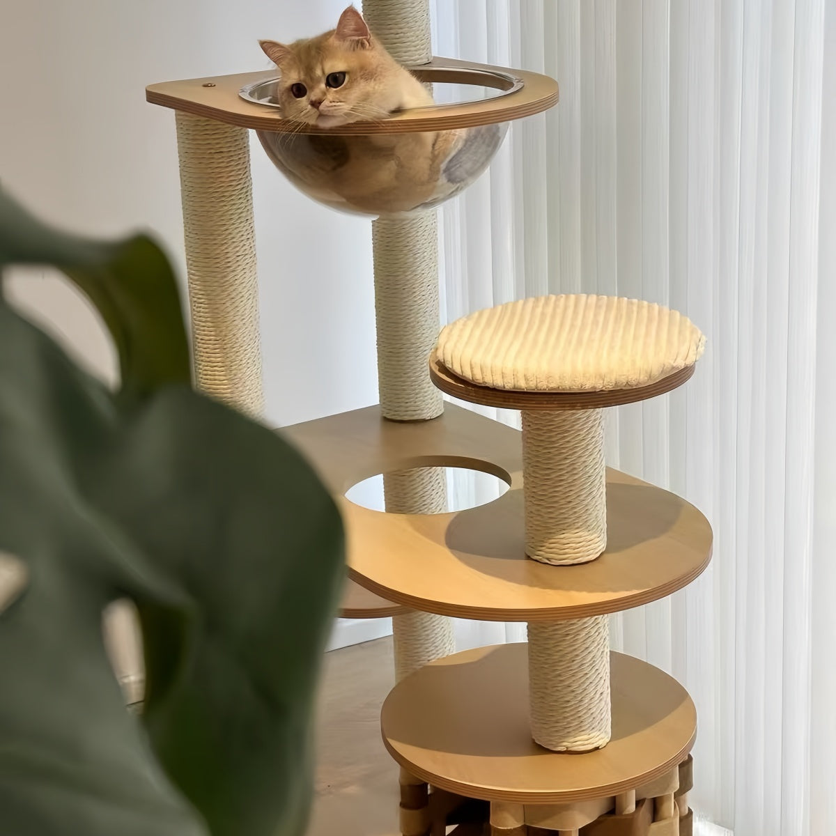 Nova All-in-One Minimalist Cat Tree