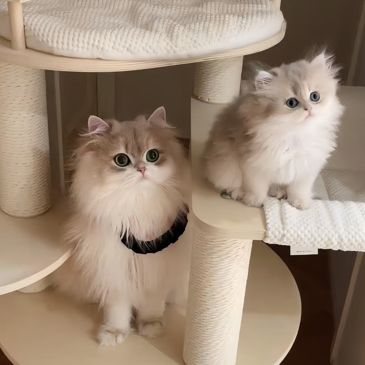 Premium Multi-Level Solid Wood Cat Tree