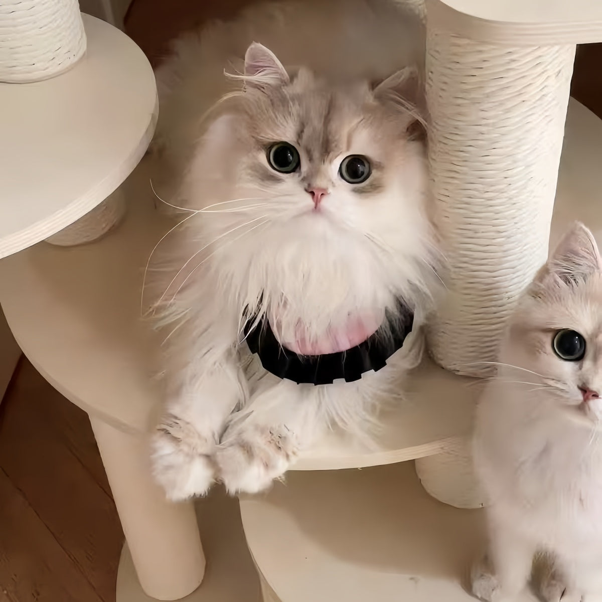 Premium Multi-Level Solid Wood Cat Tree