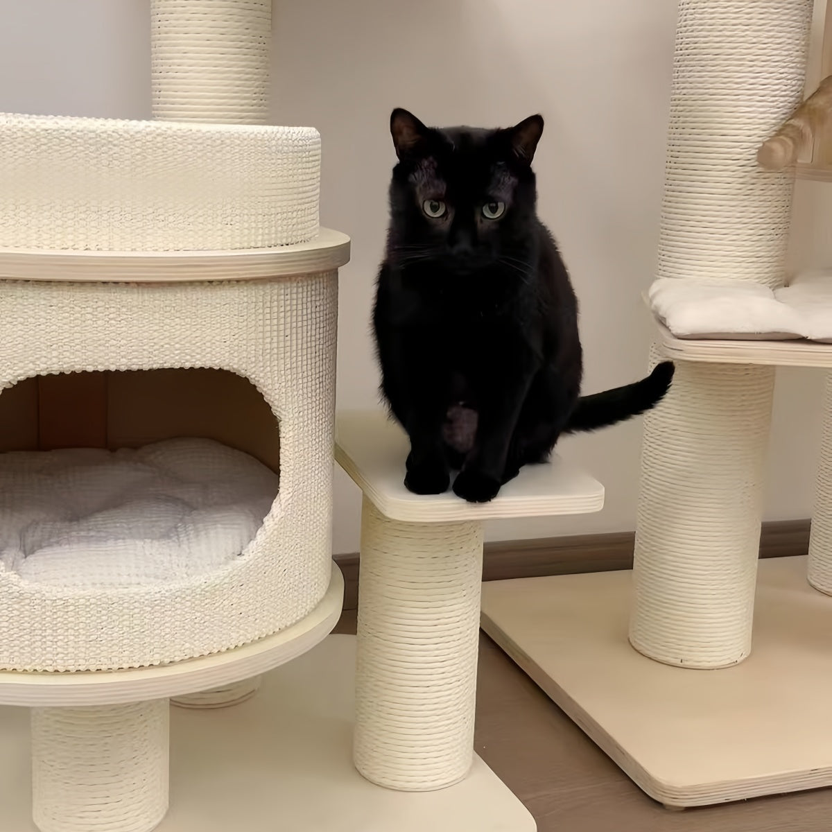 Premium Multi-Level Solid Wood Cat Tree