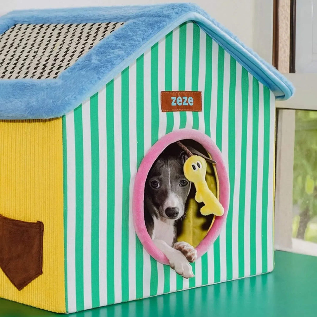 ColorPop Foldable Pet Den