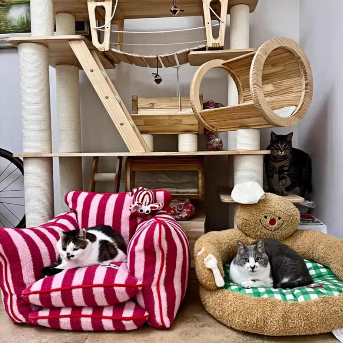 Dopamine Stripe Pet Sofa