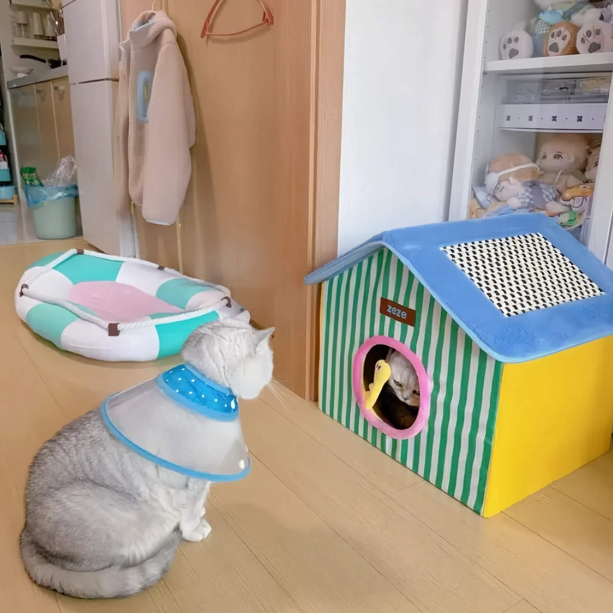ColorPop Foldable Pet Den