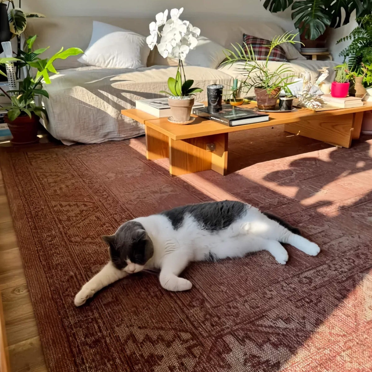 Luxurious Wool and Jute Rug