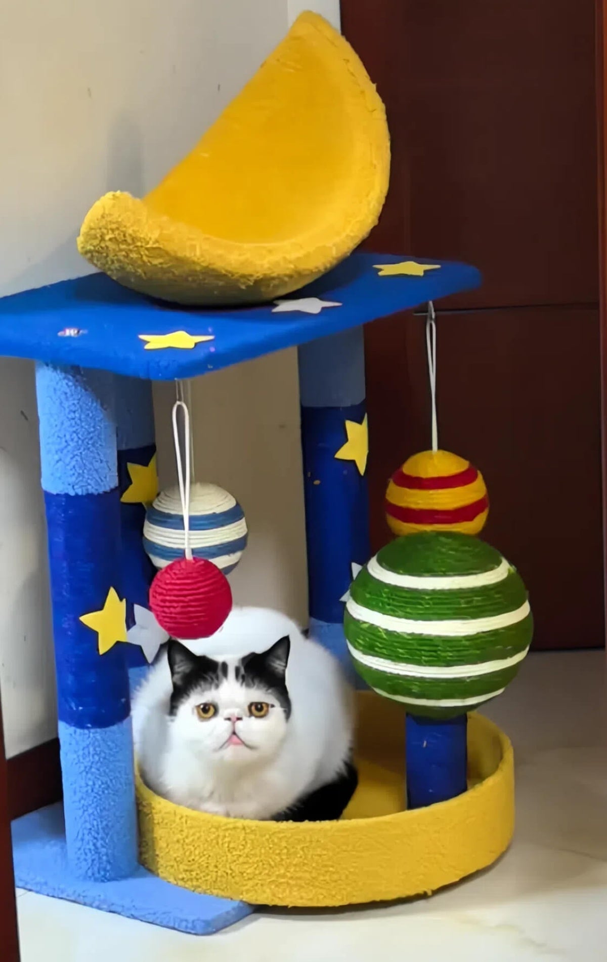 Moon Walker Cat Climber