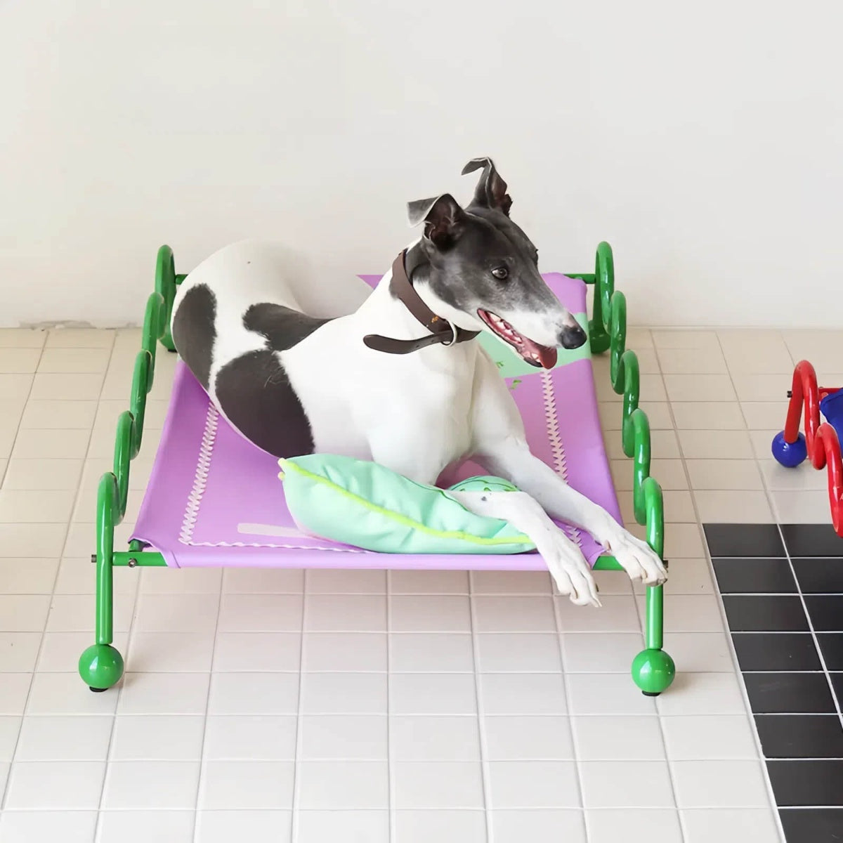 Elevated Pet Cot