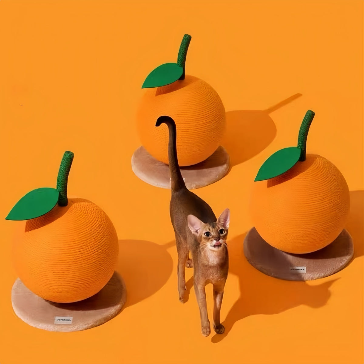 Tangerine Twist Scratching Post