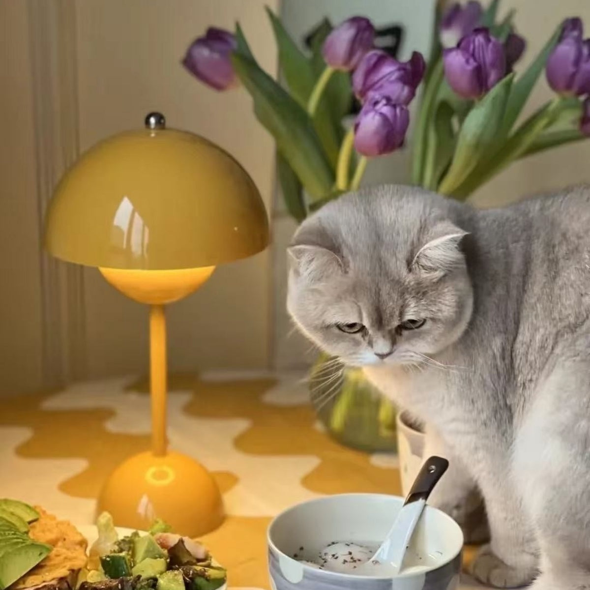 Luna Mushroom Glow Touch Lamp