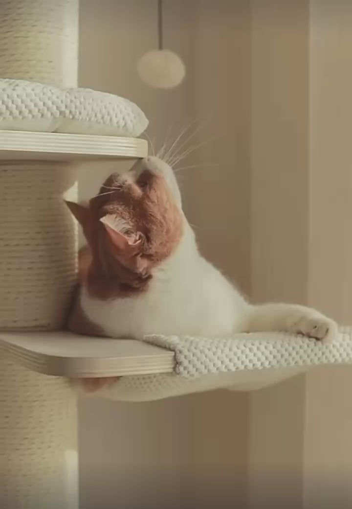 Premium Multi-Level Solid Wood Cat Tree