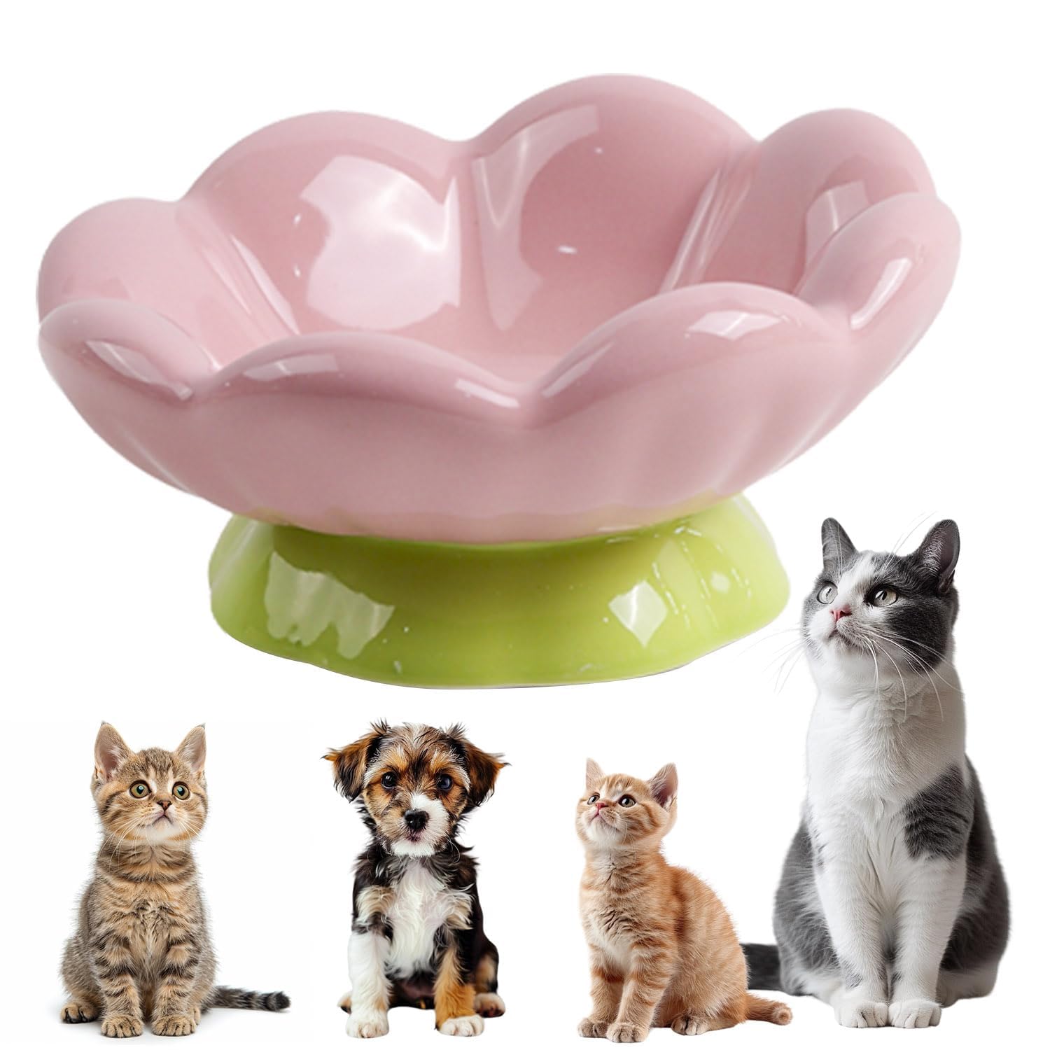 Tulip Pet Bowl