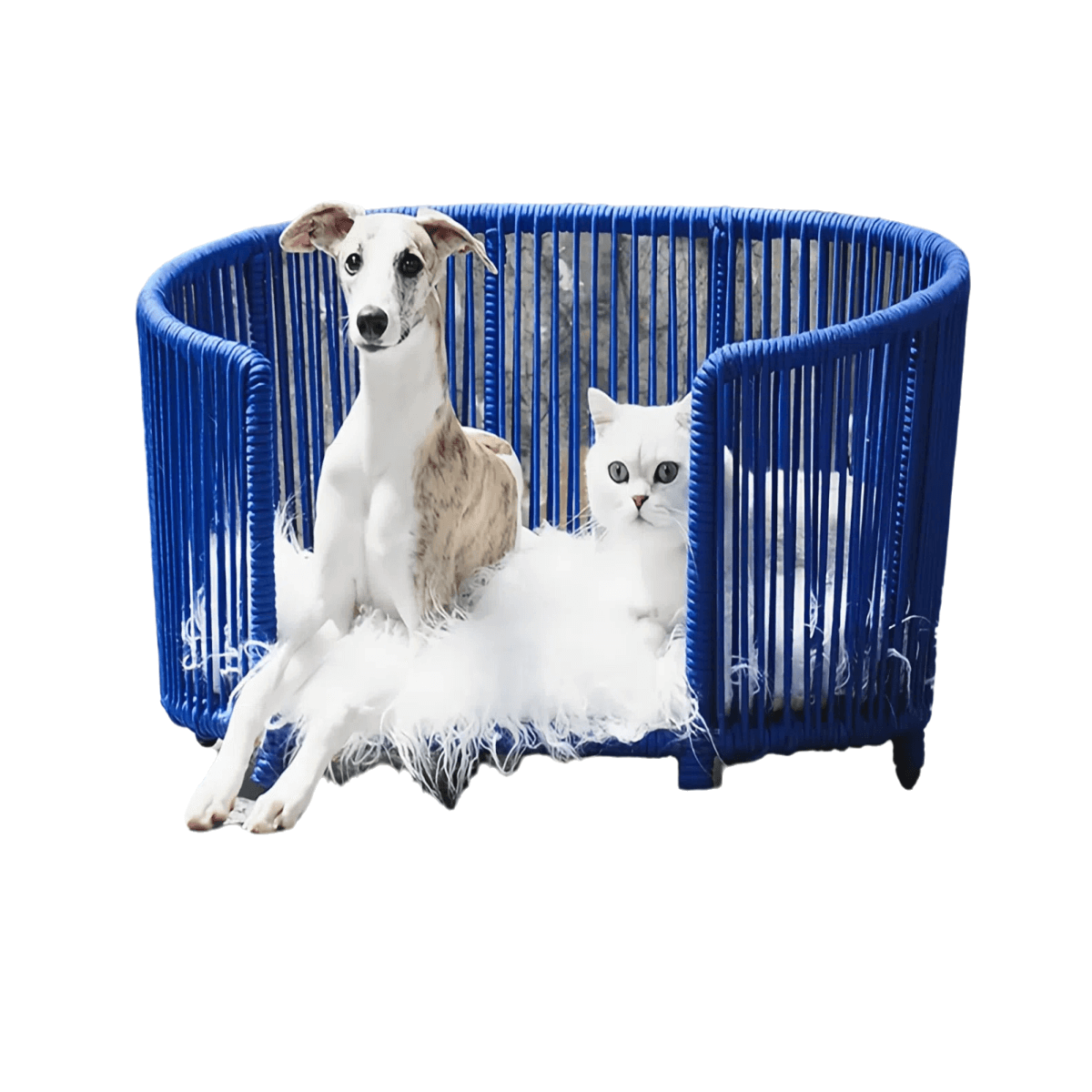 modern woven pet bed