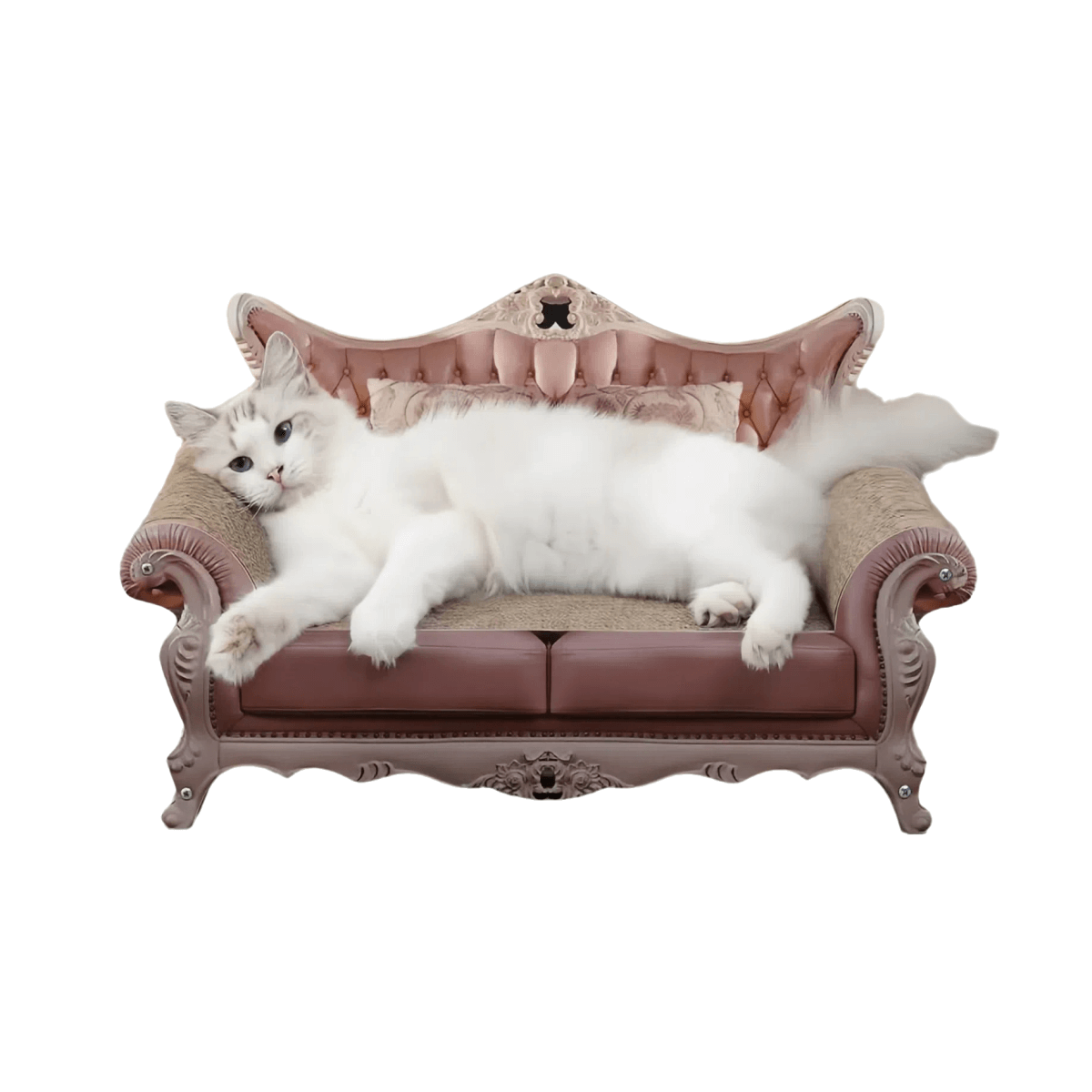 Luxury Cat Scratcher Lounge