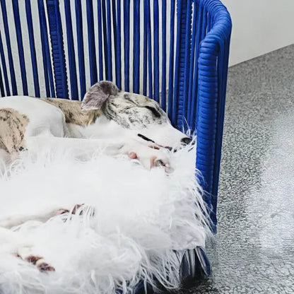 Modern Woven Pet Bed