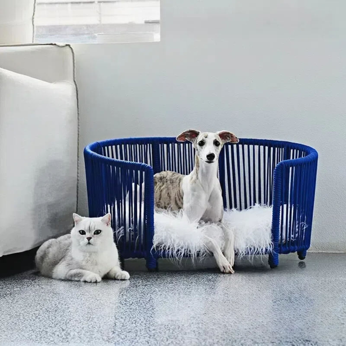Modern Woven Pet Bed