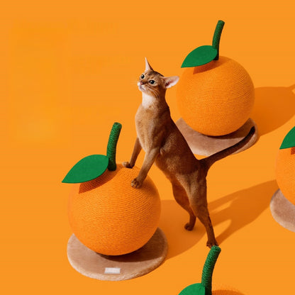 Orange Cat Scratching Post