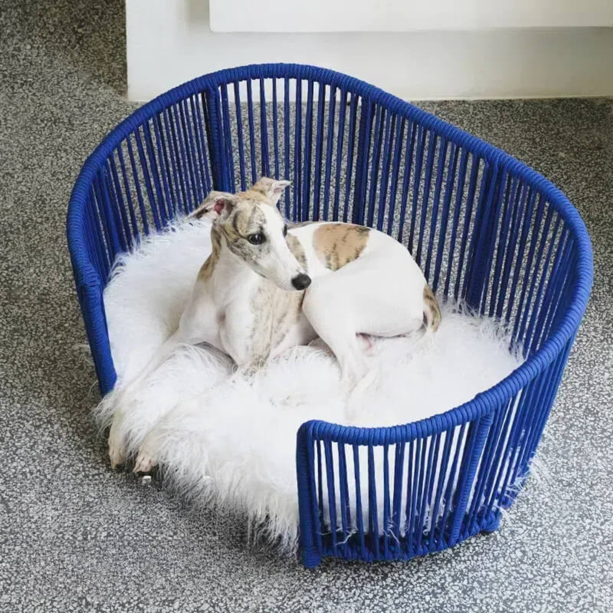 Modern Woven Pet Bed