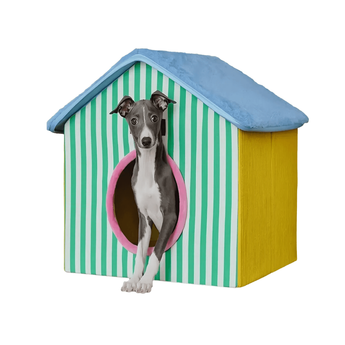colorful foldable pet house
