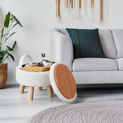 Modern Teddy Velvet Storage Ottoman