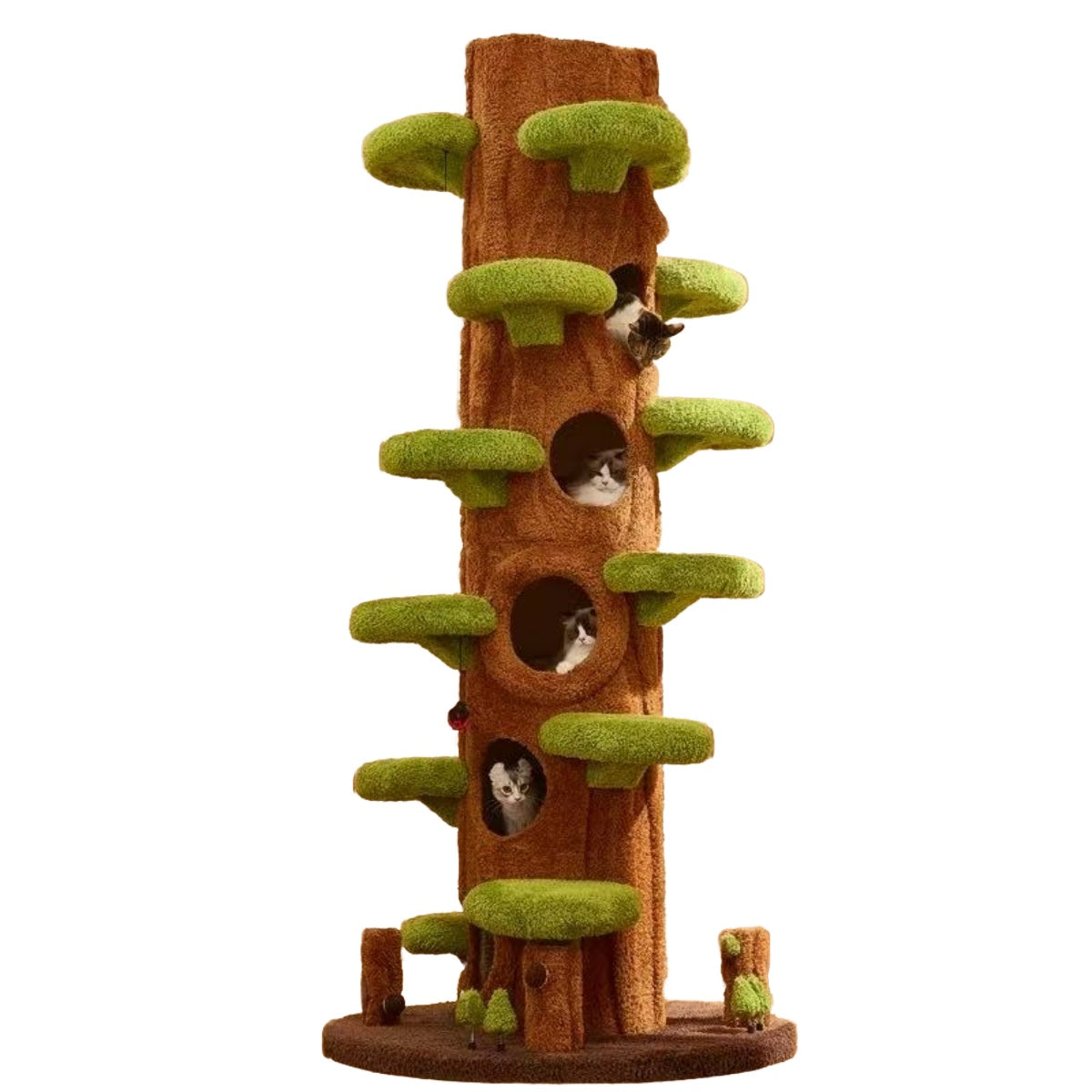 AstraCat Tower
