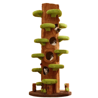 AstraCat Tower