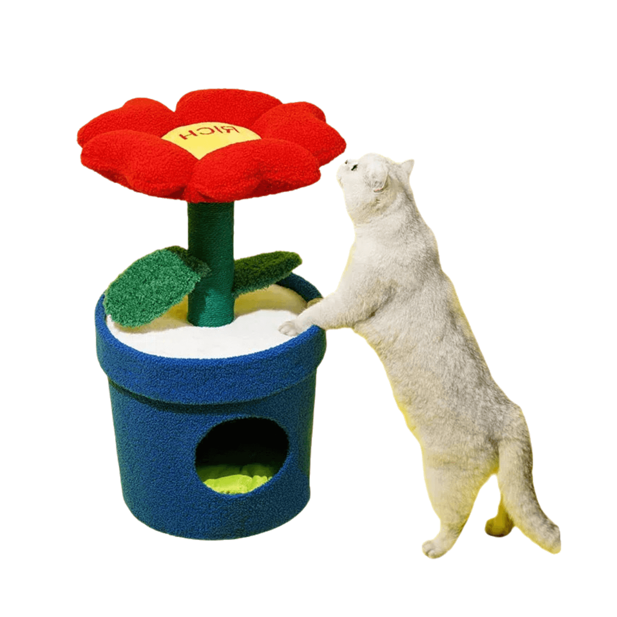 rich flower cat bed