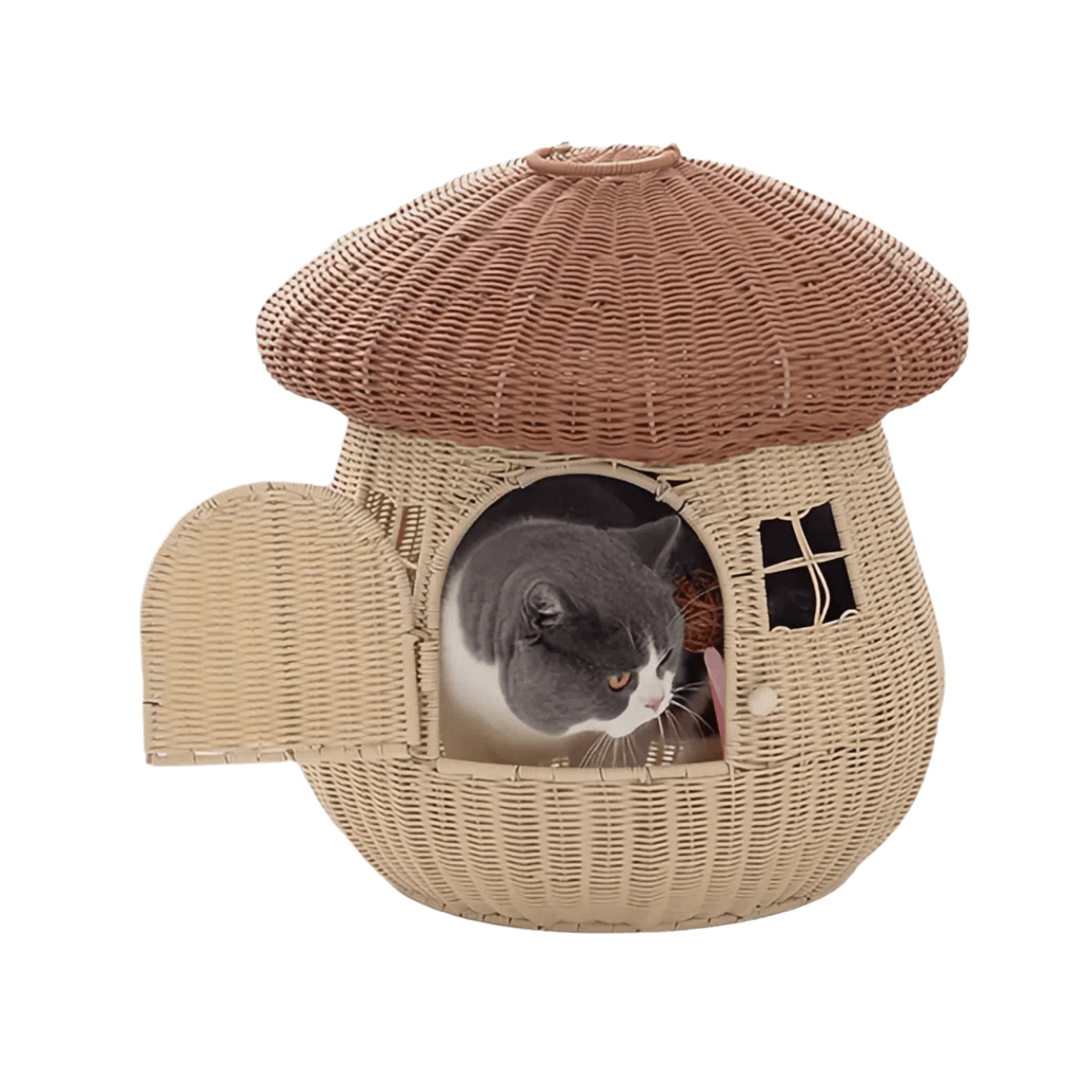 Mushroom House Cat Bed