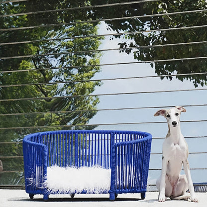 Modern Woven Pet Bed