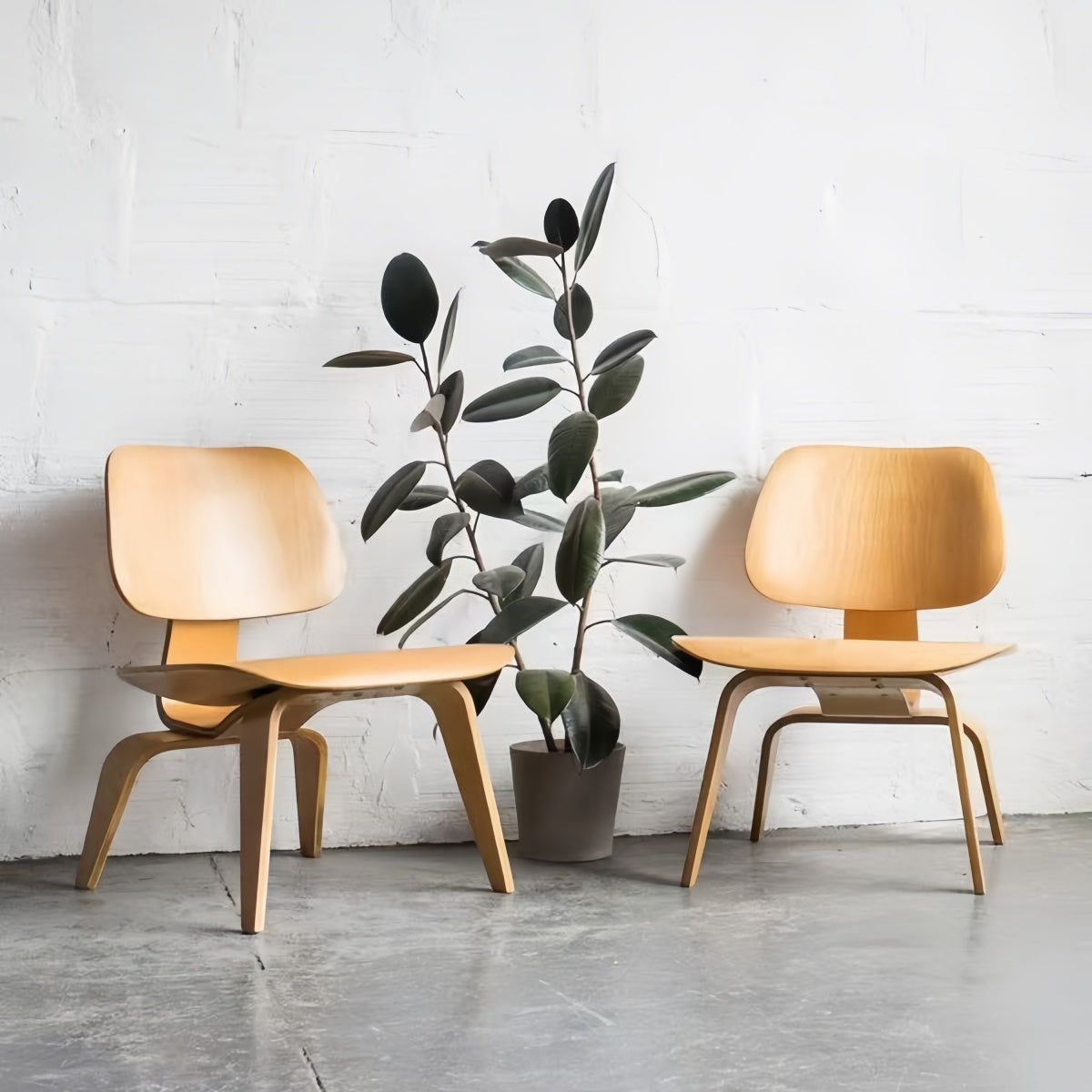 CurveNest Lounge Chair