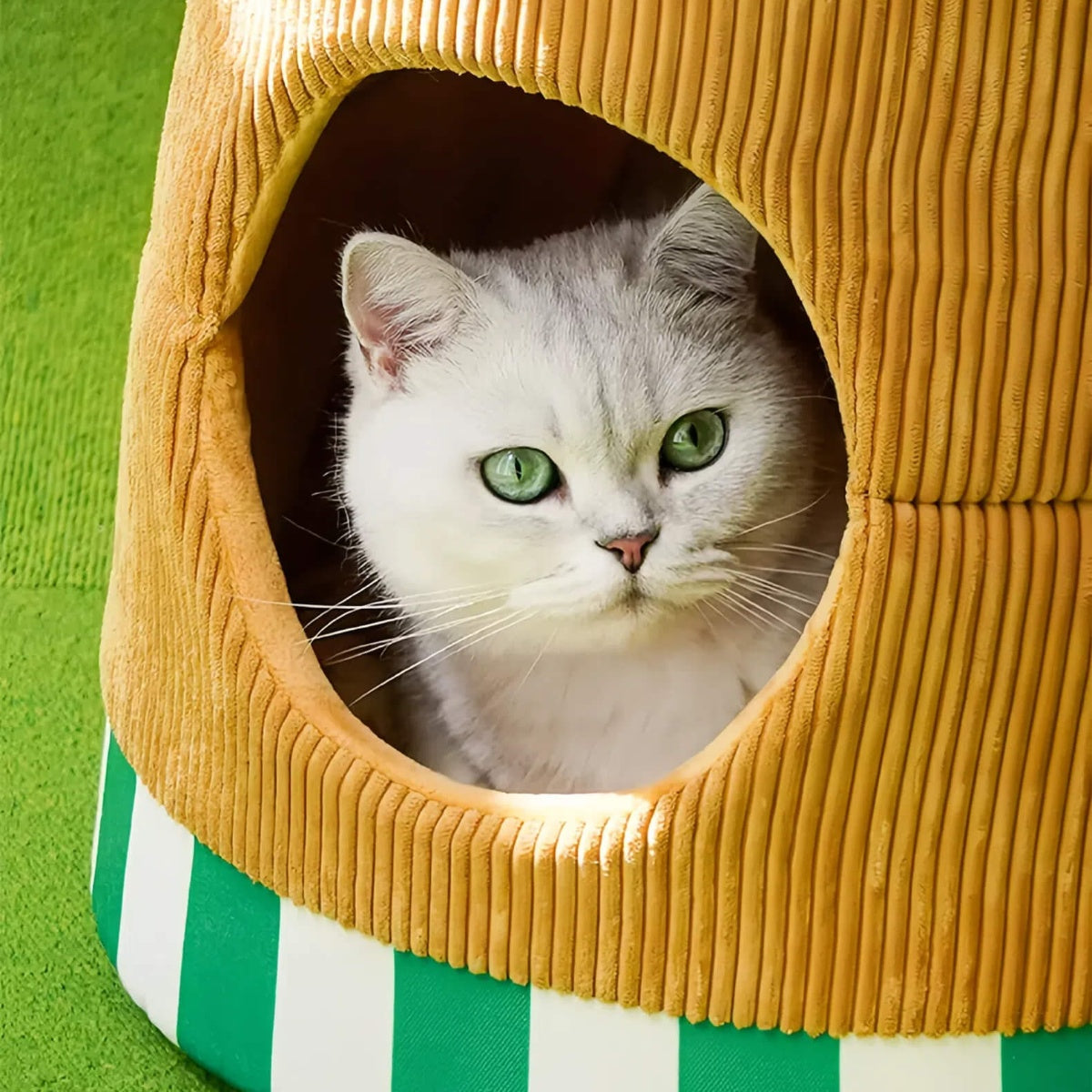 Apple Pie Foldable Pet House