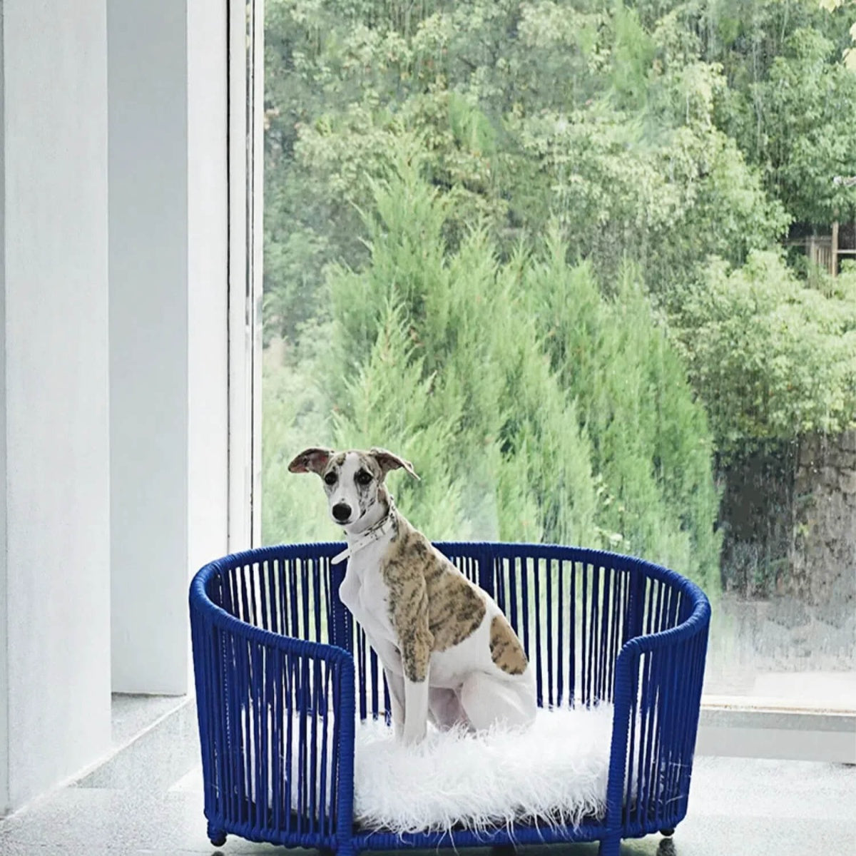 Modern Woven Pet Bed