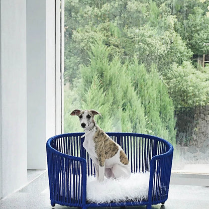 Modern Woven Pet Bed