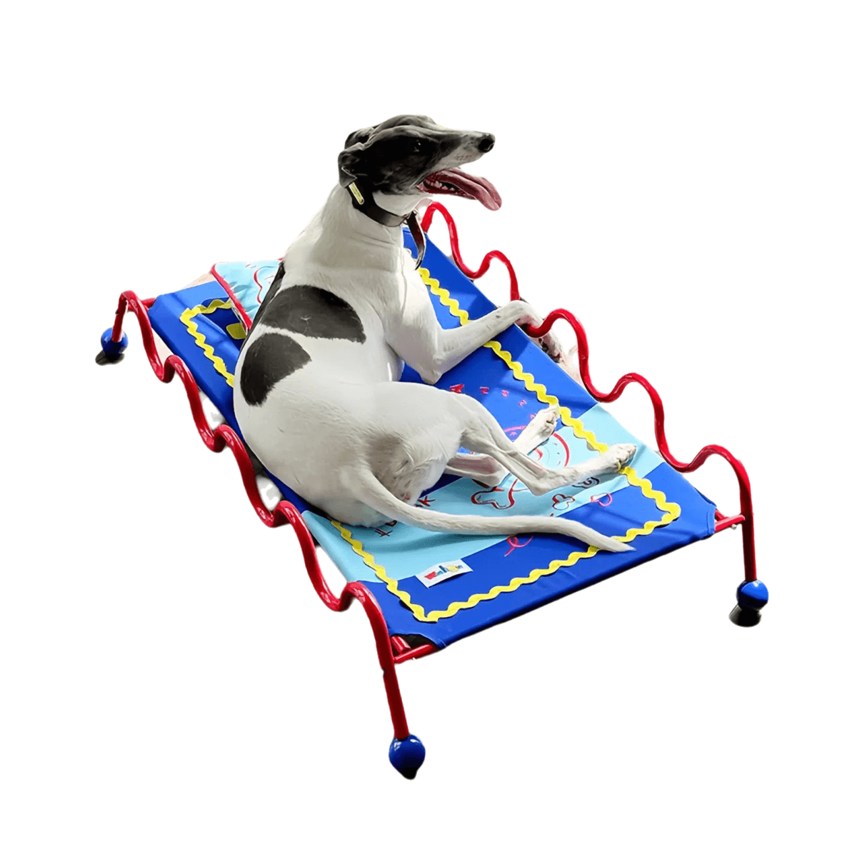 Elevated Pet Cot