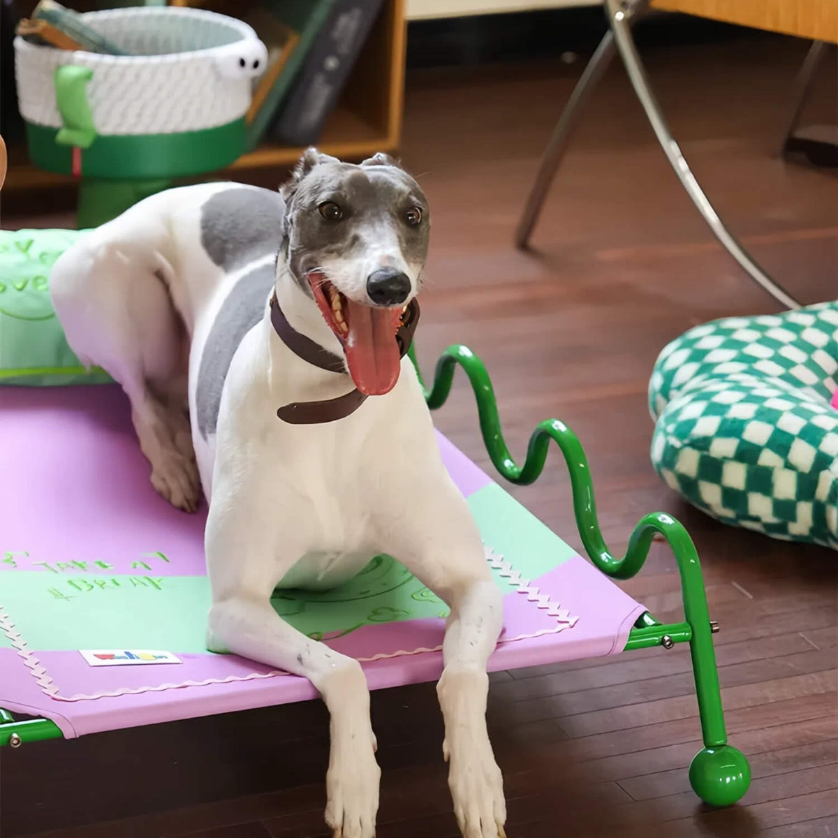 Elevated Pet Cot