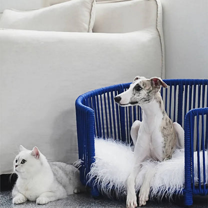 Modern Woven Pet Bed
