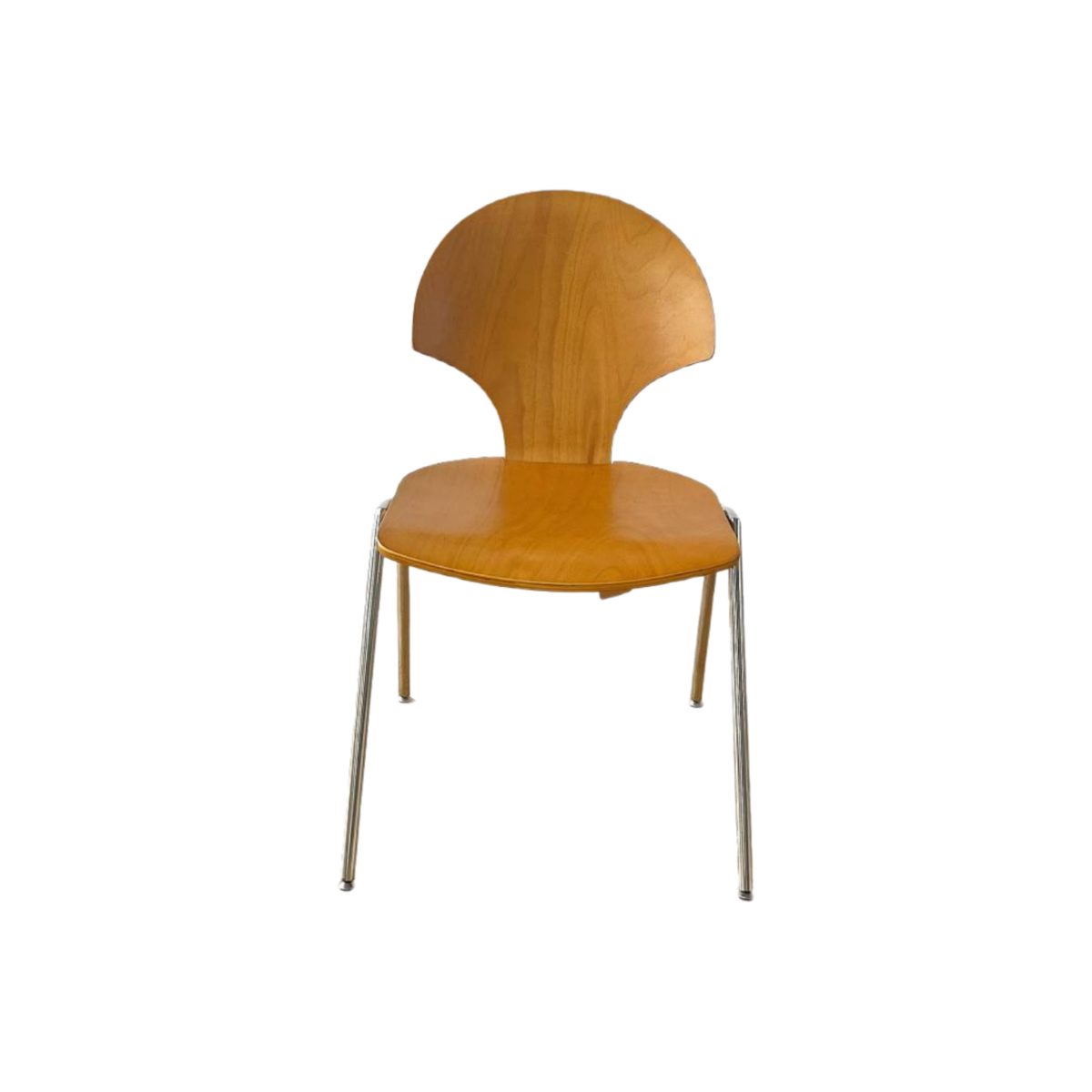 Nordic Ginkgo Dining Chair