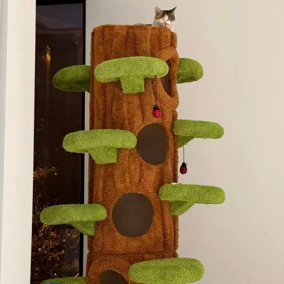 AstraCat Tower